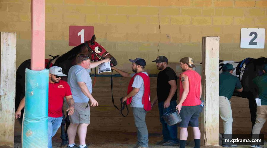 星空综合中国官方网站挑战自我，勇往直前！